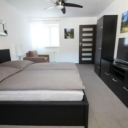 Апартаменти Apartament Meander Шклярська Поремба Екстер'єр фото